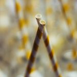 Just stop using straws